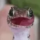 GECKO logo