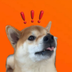 Tonic On Sui logo