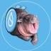 Bouncy Pork logo