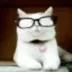 CAT TURD logo