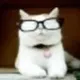 CAT TURD logo