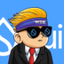 Wall Sui Bets logo
