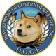Department Of Government Efficiency logo
