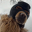 SKI