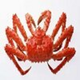 CRAB logo