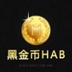 Black gold coin Token logo