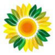 Helianthus annuus token logo