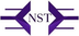 New Solution logo