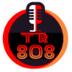 New808token logo